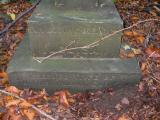 image of grave number 484211